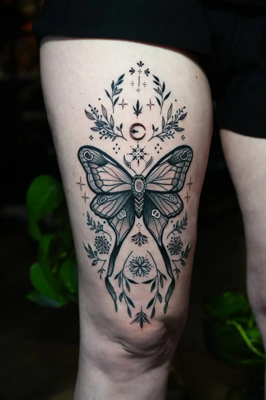 Ornamental moth tattoo with celestial details on a thigh