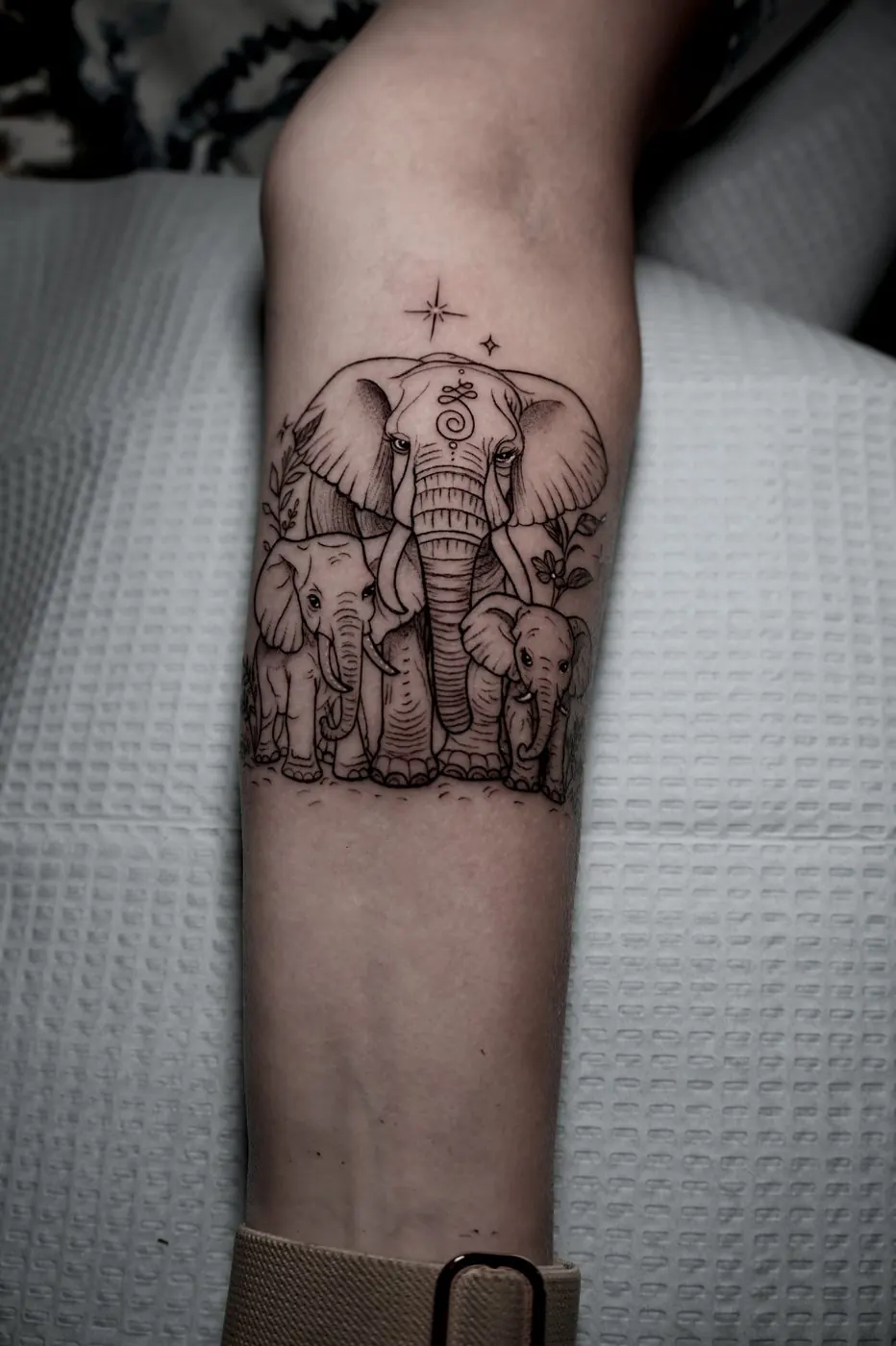 Fine line elephant family tattoo on a forearm